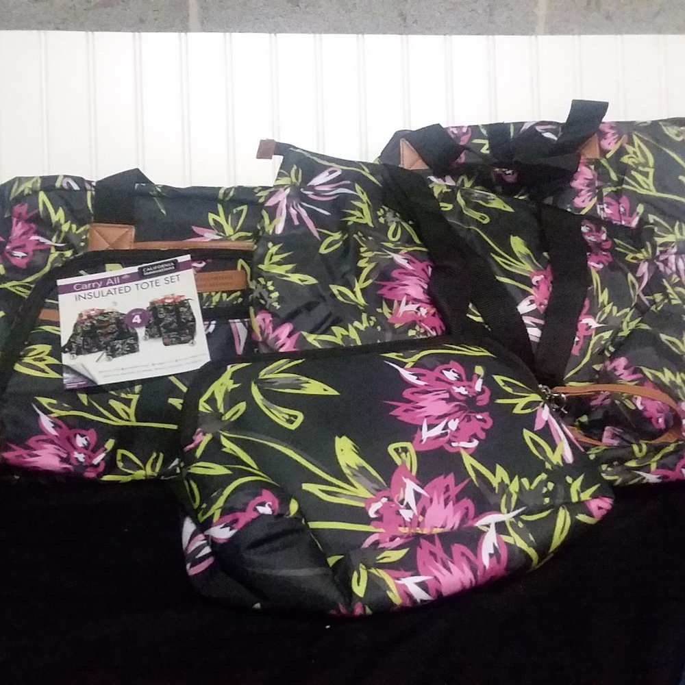 ~NEW!~ 4 piece Insulated Tote Set